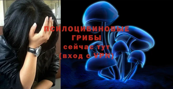 эйфоретик Белокуриха