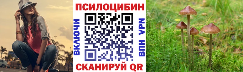 Псилоцибиновые грибы Cubensis  Ессентукская 